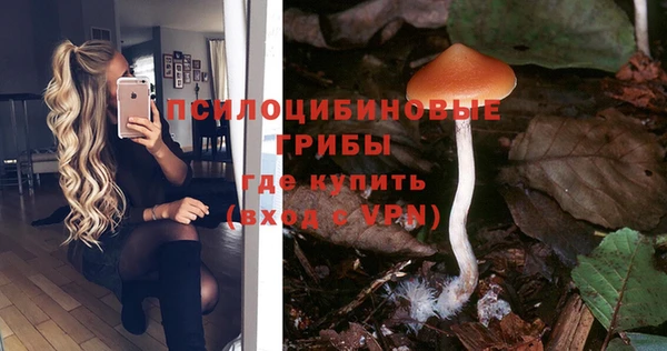 кокаин Ладушкин