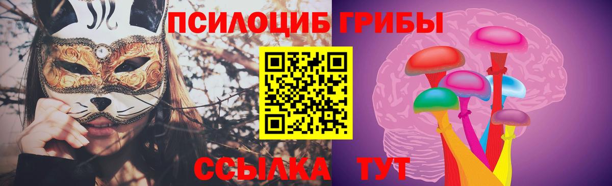 Псилоцибиновые грибы Magic Shrooms  Галлюциногенные грибы GOLDEN TEACHER  Вход с VPN  Сызрань 